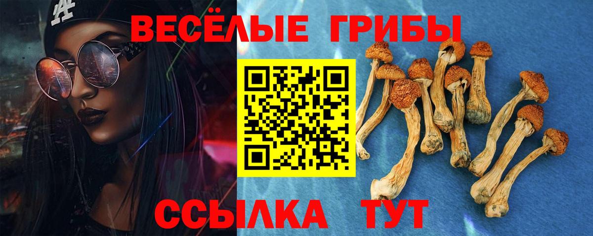 Галлюциногенные грибы Psilocybine cubensis Клинцы